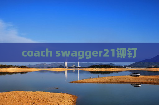 coach swagger21铆钉
